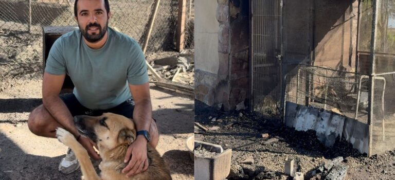 Los motivos detrás de la ola de incendios que asola España este mes de julio: «Lo que fue bueno para los pantanos, no lo es ahora»