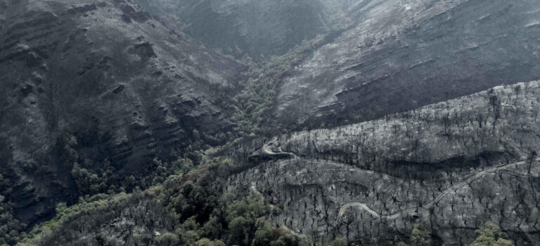 La guerra por maquillar los datos tras apagar los incendios: ¿Cuántas hectáreas se han quemado en cada comunidad?