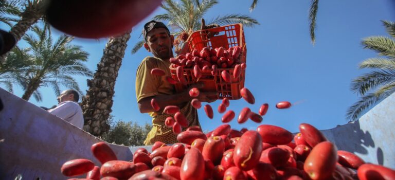 Tres empresas israelíes presumen de exportar productos de los territorios ocupados a España pese a las restricciones del Gobierno