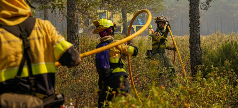 El incendio de Guadalajara muestra el cóctel perfecto para un verano en llamas: calor extremo, sequía y combustible vegetal